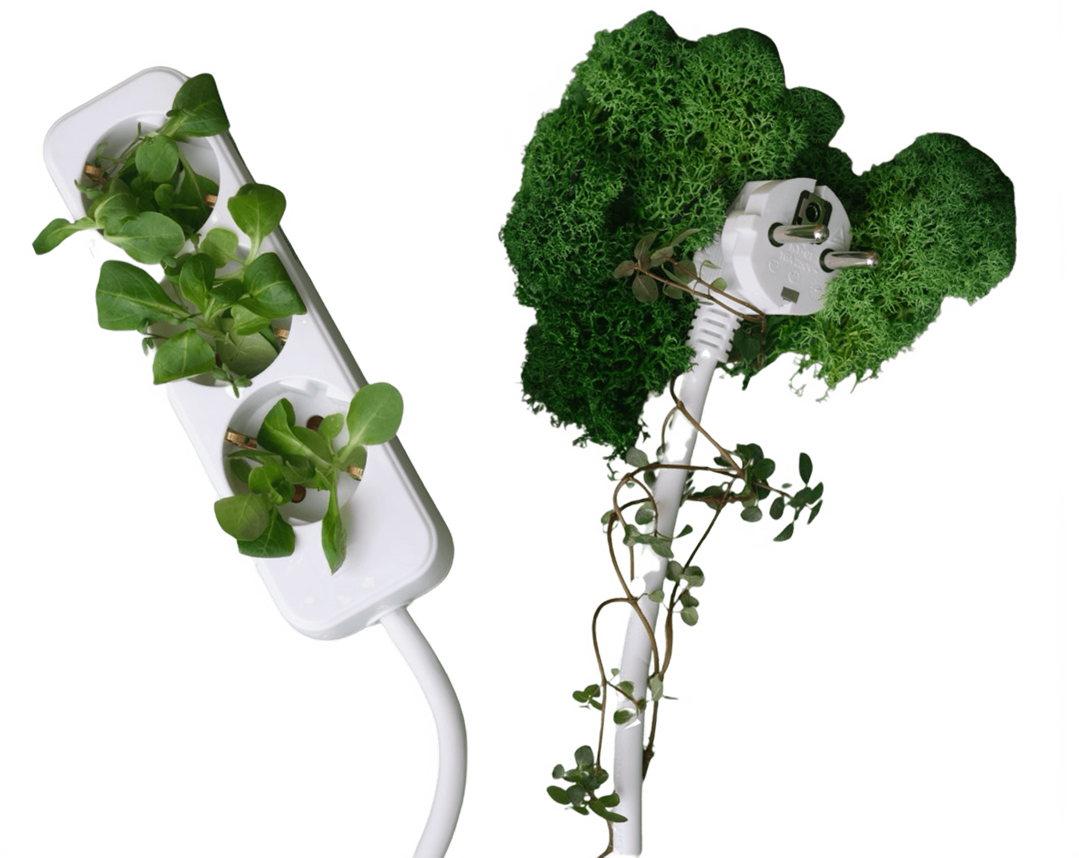 Create Value with Your Choices: Conscious Consumption, Sustainable Future